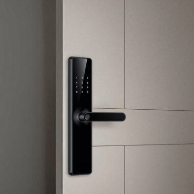 Finger vein biometric smart door