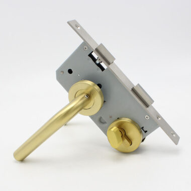 Close-up of Brass Lock Cylinder