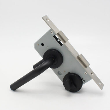 Close-up of Brass Lock Cylinder